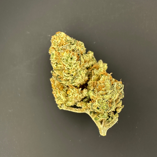 🇫🇷 Lemon Grace Indoor - Happy Pousse