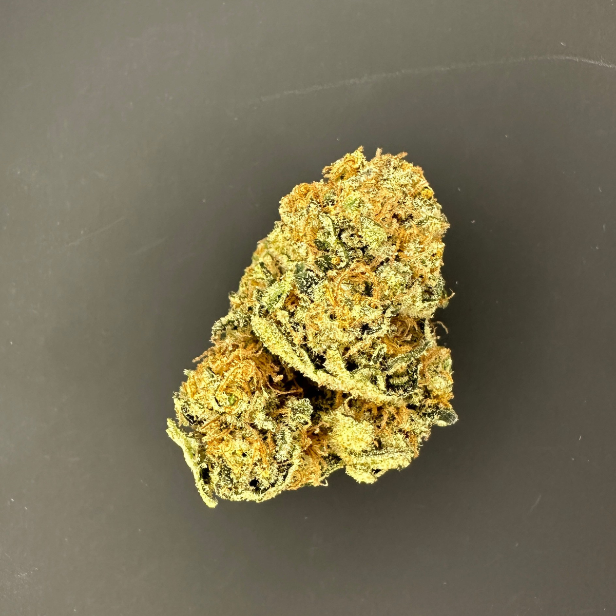 🇫🇷 Lemon Grace Indoor - Happy Pousse