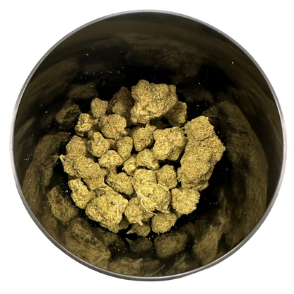 Moby Dick Indoor / Amnesia 2.0