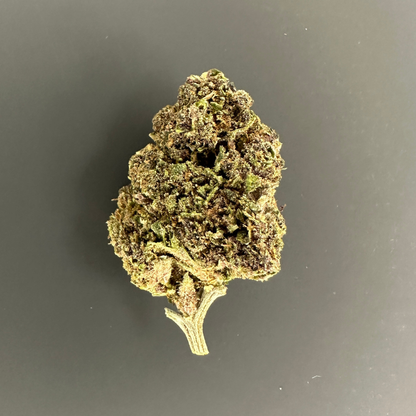 🇫🇷 NYC DIESEL