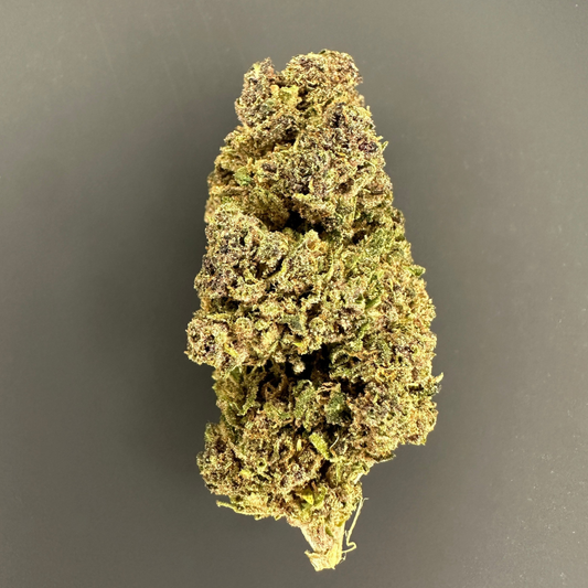 🇫🇷 NYC DIESEL