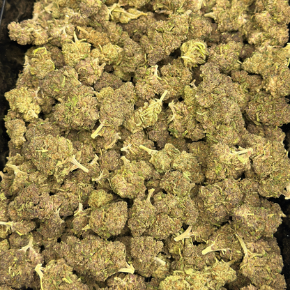🇫🇷 NYC DIESEL