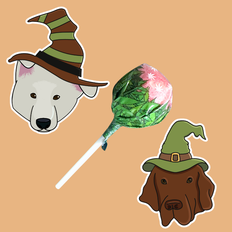 Sucette Halloween - Bubble Gum x Candy Kush