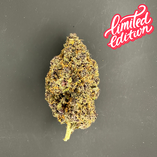 🇮🇹 Tarmac - Fleur Italienne Indoor