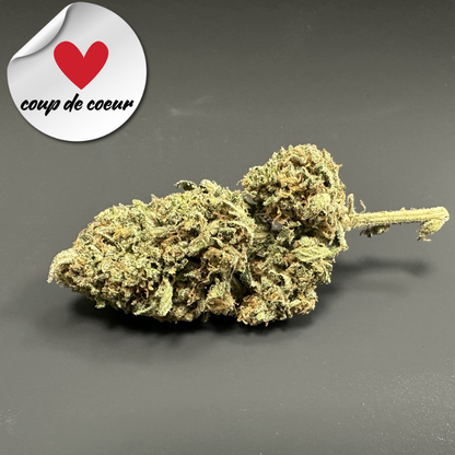 Tropical Fruit Scoop