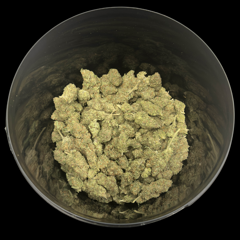 Tropical Fruit Scoop