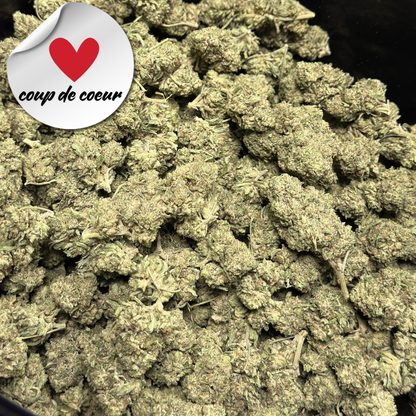 Wasabi - Fleur Premium