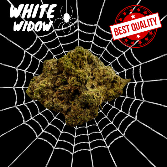 White Widow